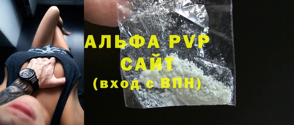 гидра Богородицк
