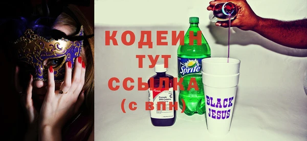 гидра Богородицк