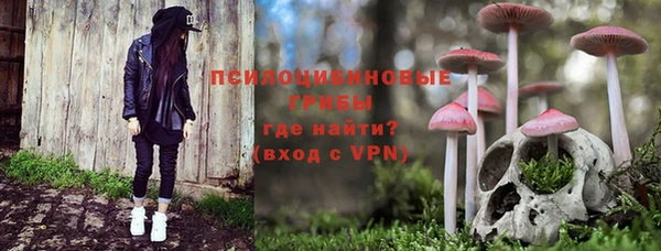 индика Балахна