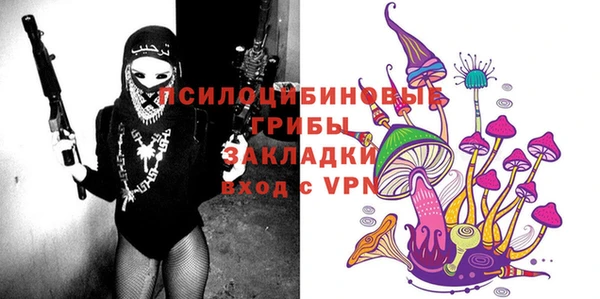 трава Белокуриха