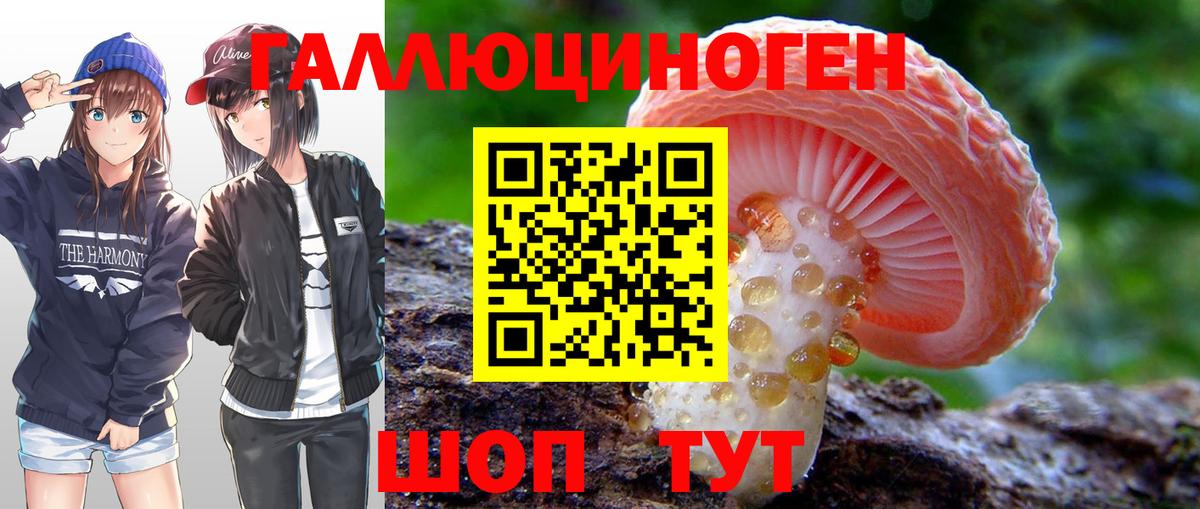 Галлюциногенные грибы мухоморы  Псилоцибиновые грибы прущие грибы  дарнет шоп  Гатчина  Вход с VPN 