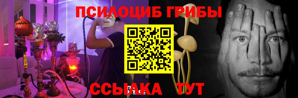 Галлюциногенные грибы Cubensis Гатчина