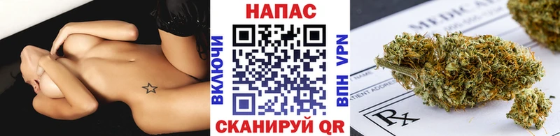 магазин    Гатчина  Каннабис планчик 