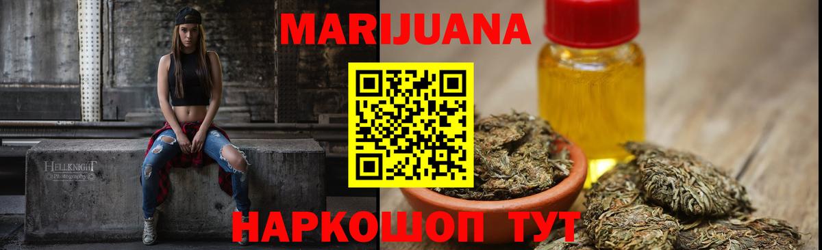 Конопля гибрид Гатчина